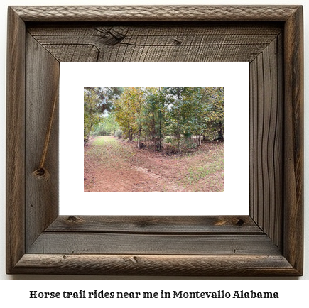 horse trail rides near me in Montevallo, Alabama